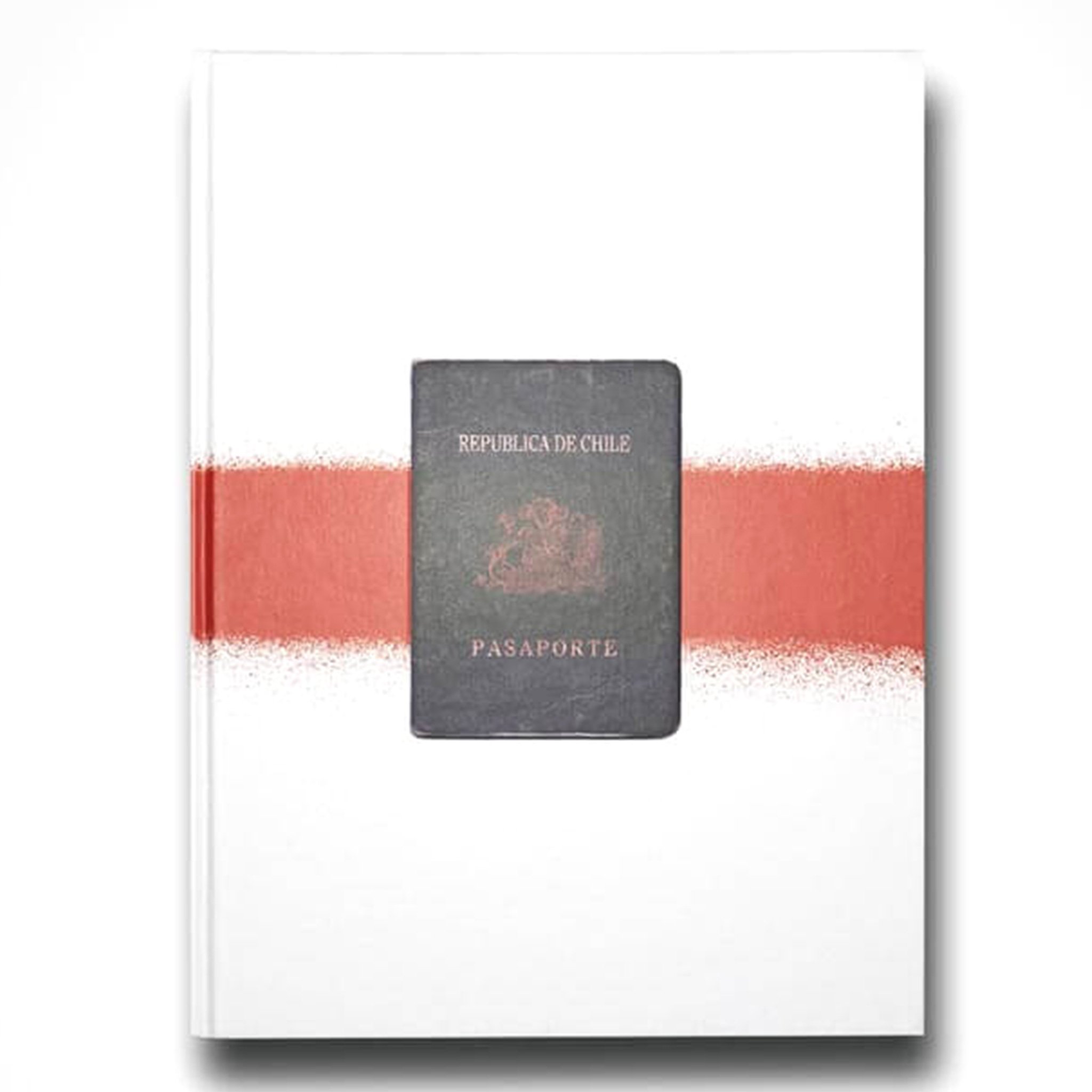 Ale VLOK Presents Patiperro - The Diary of a Sudaka